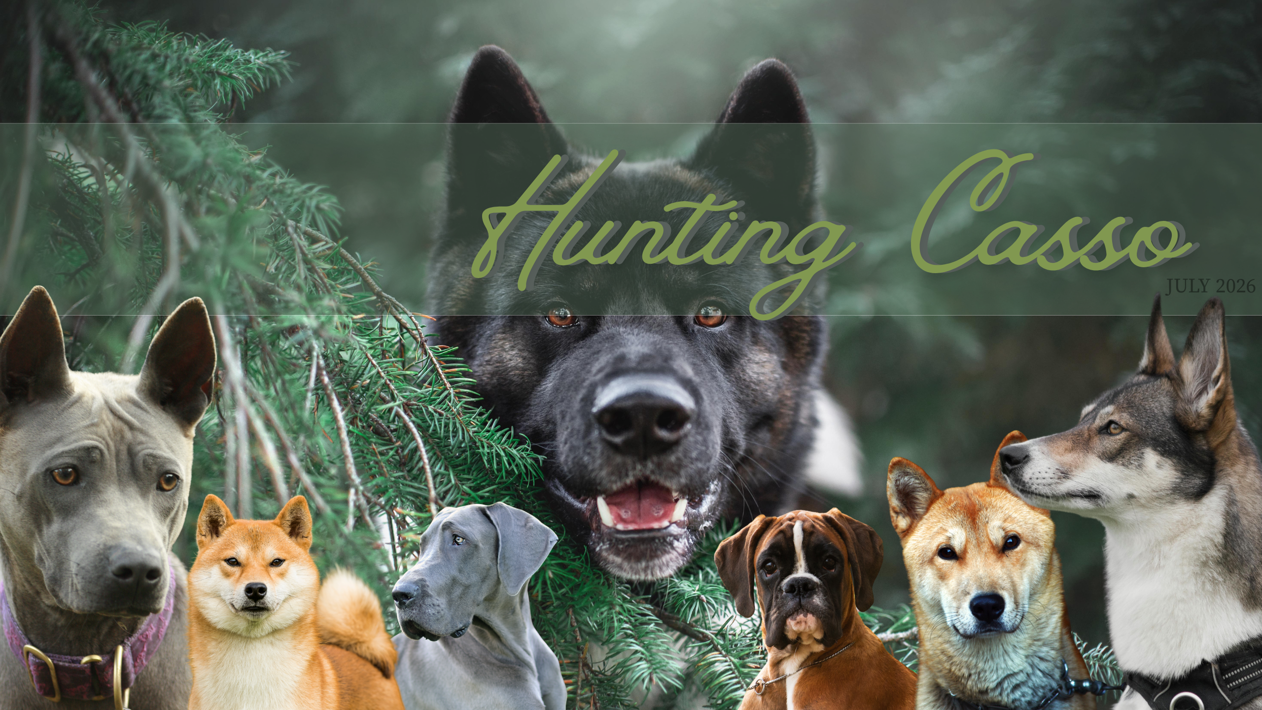 Hunting Casso